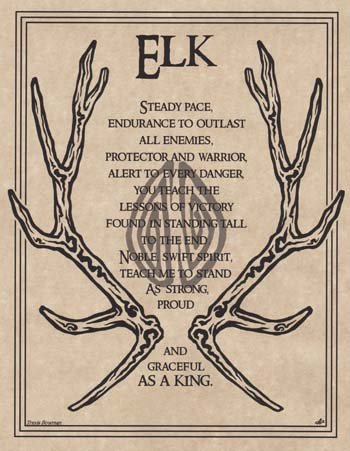 Elk Prayer (image for) Elk Prayer
