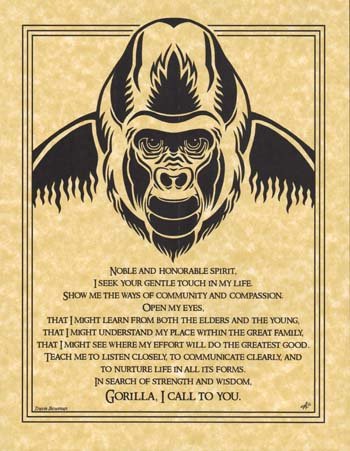 Gorilla Prayer (image for) Gorilla Prayer
