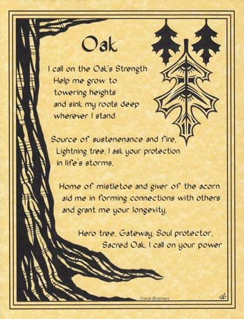 Oak (image for) Oak