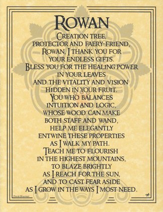 Rowan (image for) Rowan
