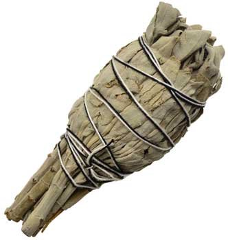 California White Sage smudge 4" (image for) California White Sage smudge 4"