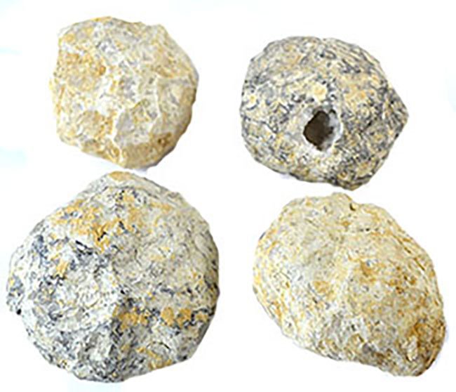 Crackable Geode (3-4/box) (image for) Crackable Geode (3-4/box)