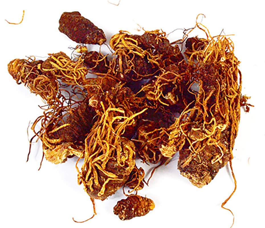 Beth Root whole 1oz (image for) Beth Root whole 1oz