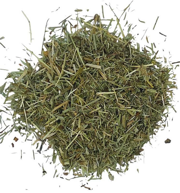 Shavegrass cut 1oz wild crafted (image for) Shavegrass cut 1oz wild crafted