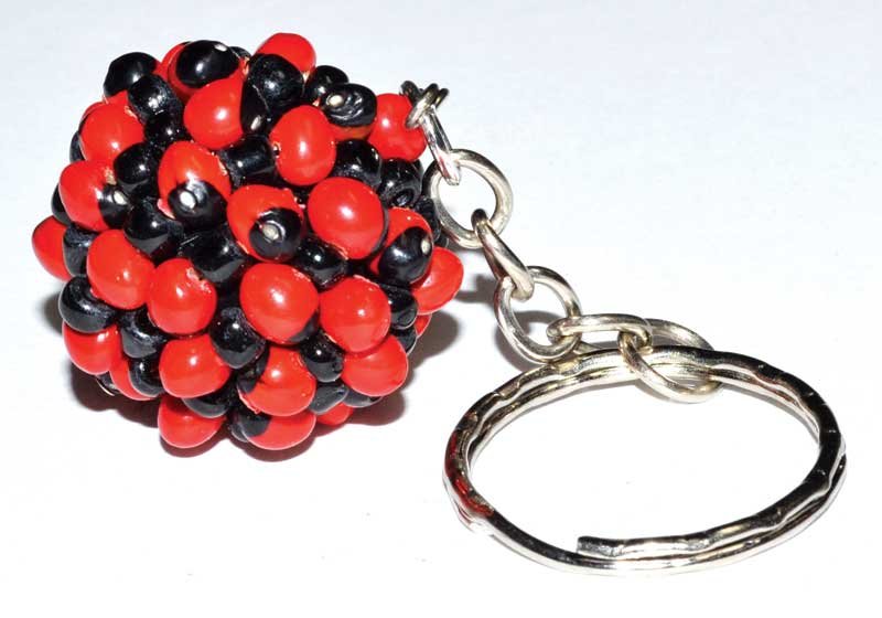 Huayruro protection key ring (image for) Huayruro protection key ring