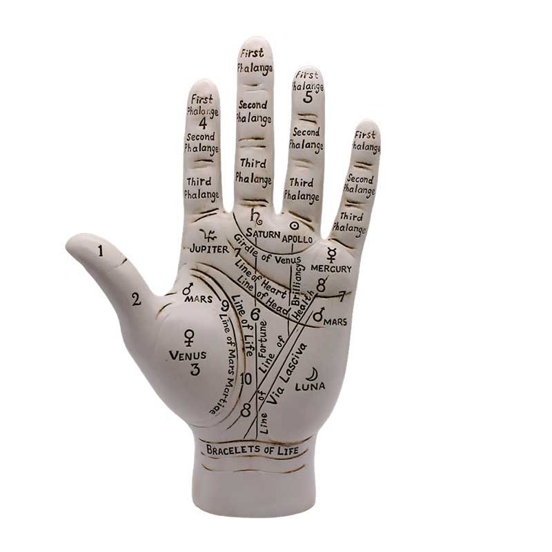 9 1/2" Palmistry Hand (image for) 9 1/2" Palmistry Hand